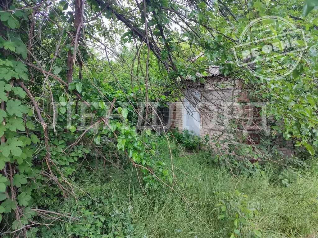 Участок в Ростовская область, Новочеркасск № 15 садовое товарищество, ... - Фото 1