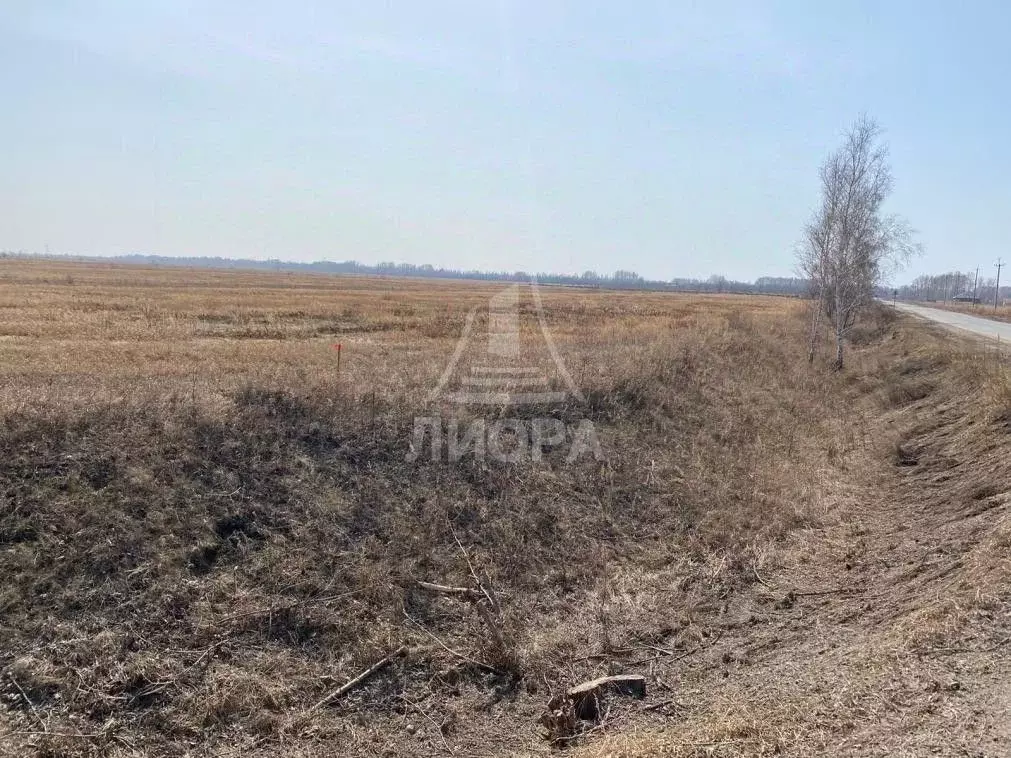 Участок в Омская область, Омский район, с. Красноярка  (12.0 сот.) - Фото 0