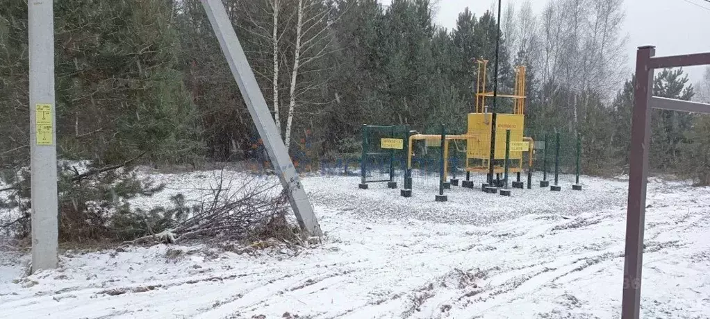 Участок в Нижегородская область, Богородский муниципальный округ, д. ... - Фото 1