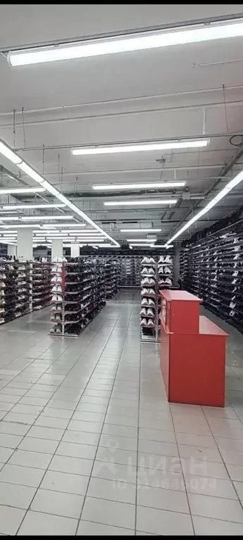 Торговая площадь в Волгоградская область, Волгоград Череповецкая ул., ... - Фото 0