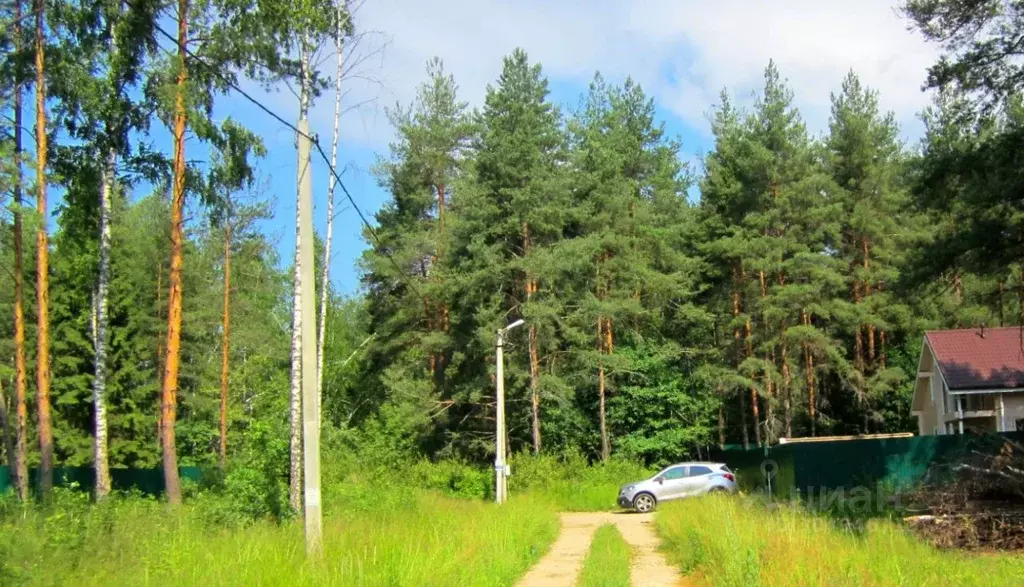 Участок в Владимирская область, Александровский район, Каринское ... - Фото 0