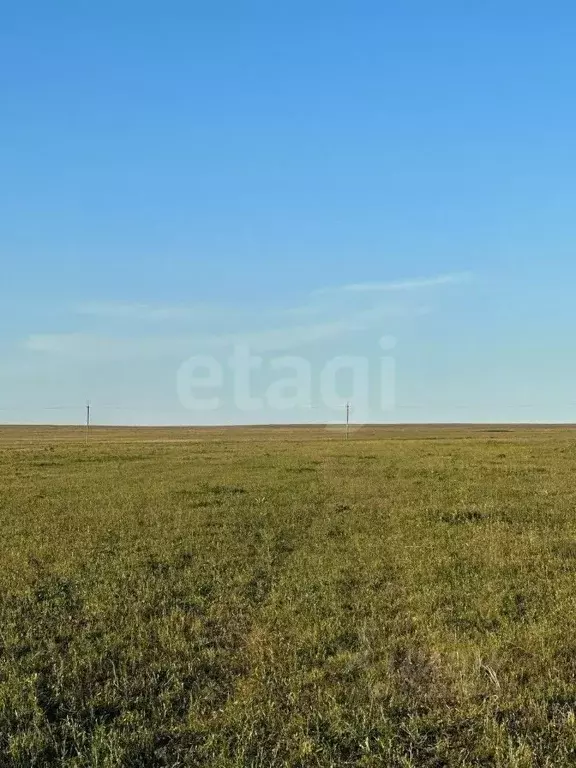 Участок в Крым, Черноморский район, с. Окуневка  (8.45 сот.) - Фото 1