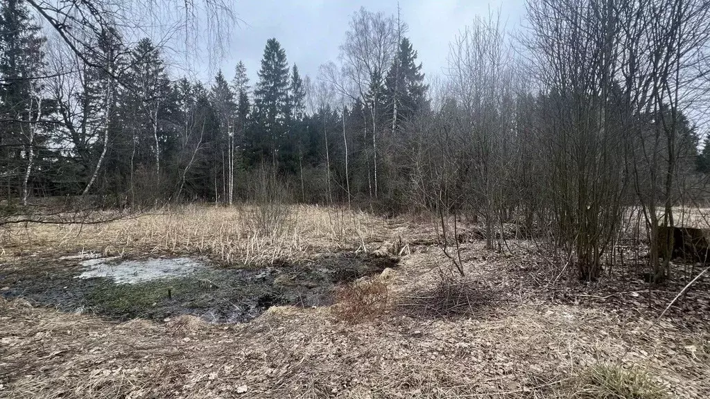 Участок в Московская область, Истра муниципальный округ, д. Часовня  ... - Фото 0