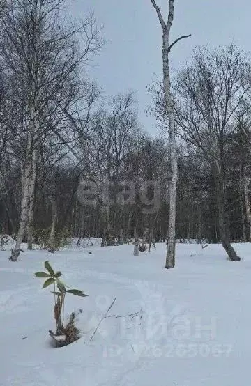 Участок в Сахалинская область, Анивский городской округ, с. ... - Фото 2