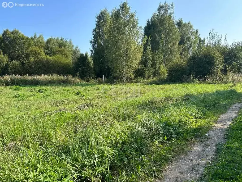 Участок в Московская область, городской округ Клин, деревня Дятлово (8 ... - Фото 1