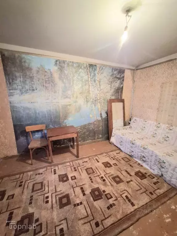 1-к кв. Ростовская область, Красный Сулин ул. Менделеева (21.0 м) - Фото 2