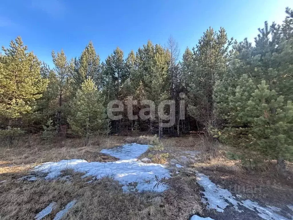 Участок в Бурятия, Кабанский район, с. Сухая  (5.4 сот.) - Фото 1