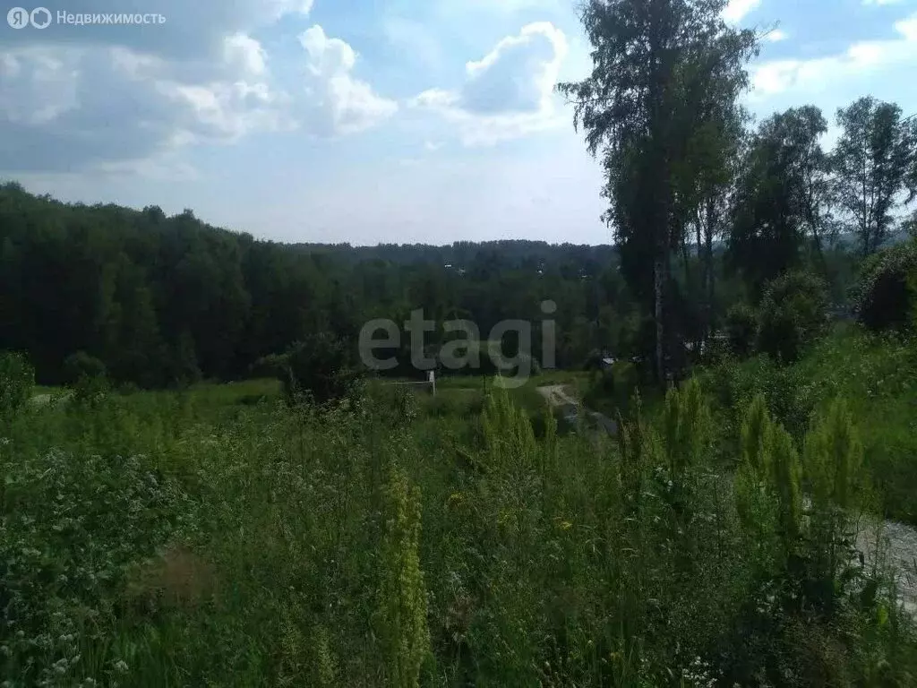 Участок в Барышевский сельсовет, садовое некоммерческое товарищество ... - Фото 1
