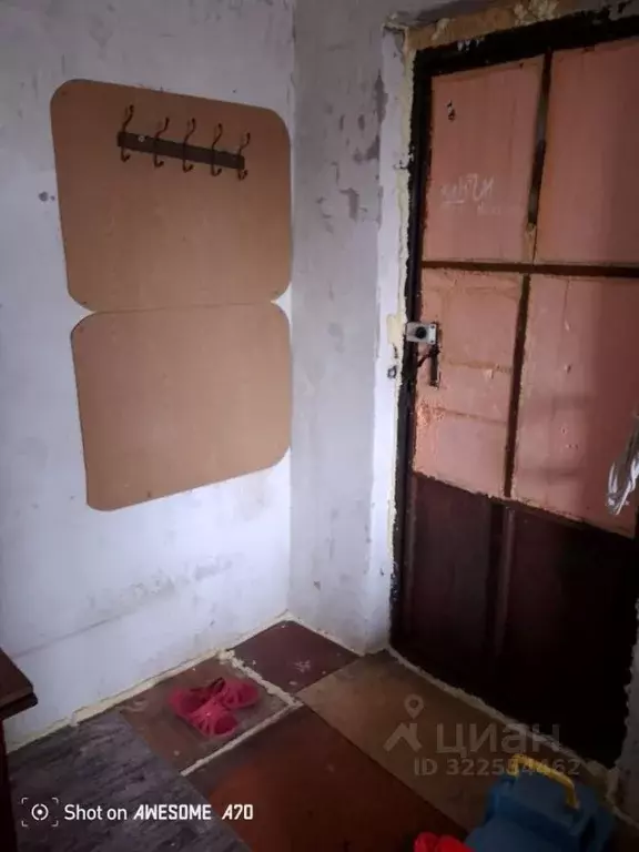 Комната Курганская область, Курган ул. Бажова, 67 (14.0 м) - Фото 0