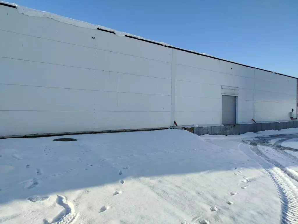 Склад в Новосибирская область, Новосибирск просп. Дзержинского, 140/1 ... - Фото 2