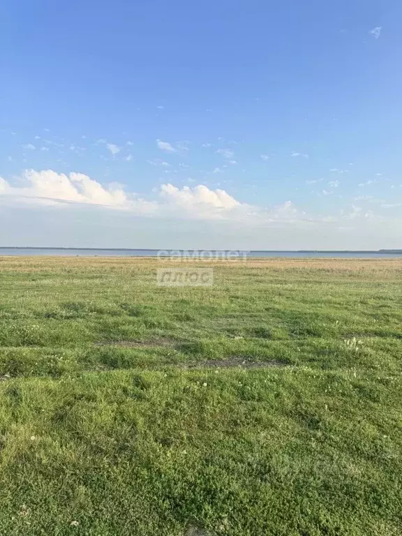 Участок в Челябинская область, Кунашакский муниципальный округ, ... - Фото 0