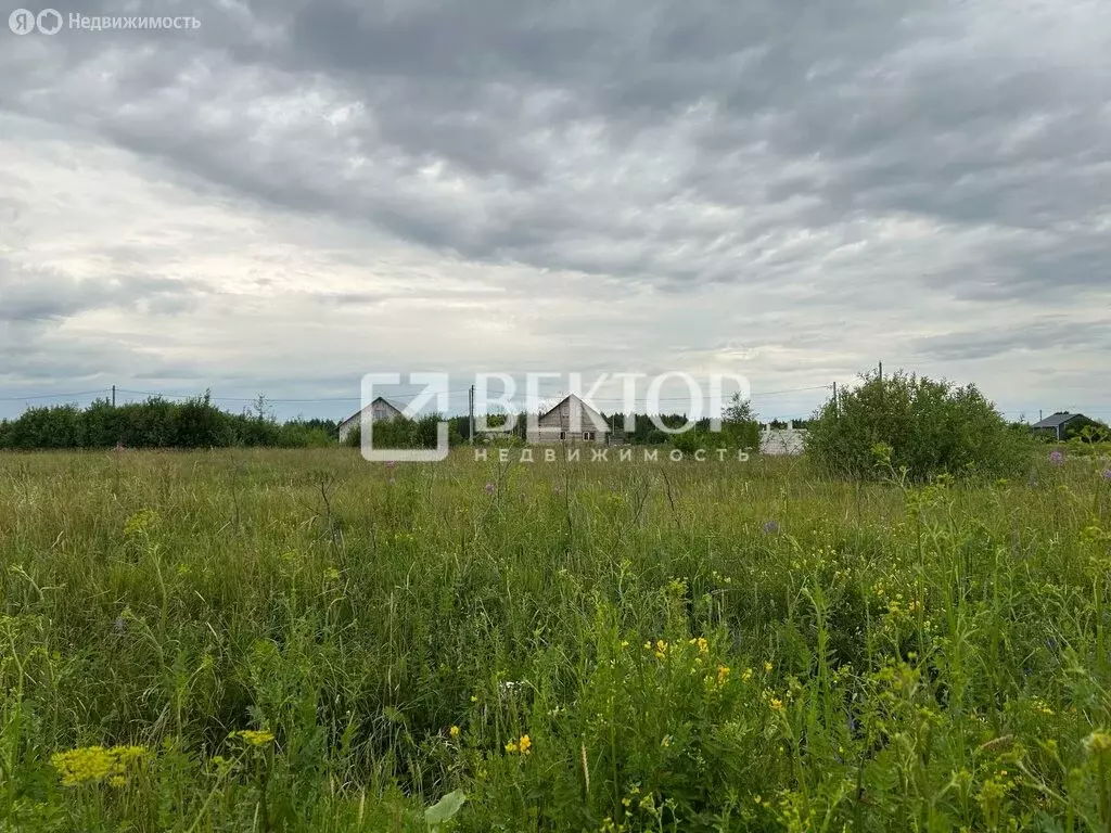 Участок в Кострома, коттеджный посёлок Соколиное Гнездо, 1 (7.3 м) - Фото 1