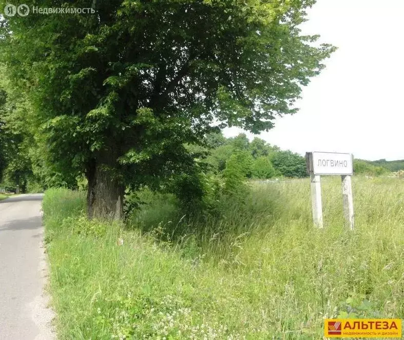 Участок в Калининградская область, Зеленоградский муниципальный округ, ... - Фото 1