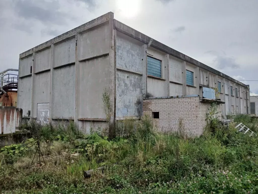 Производственное помещение в Ленинградская область, Кириши ш. ... - Фото 2