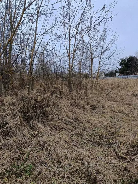 Участок в Московская область, Павловский Посад Афанасово мкр,  (13.5 ... - Фото 2
