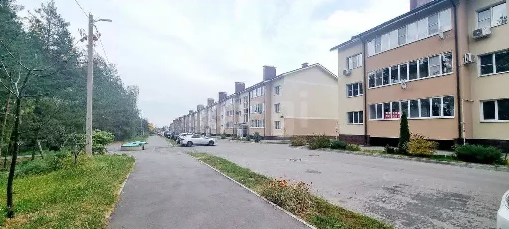 2-к кв. Воронежская область, Рамонский район, с. Ямное ул. Генерала ... - Фото 1