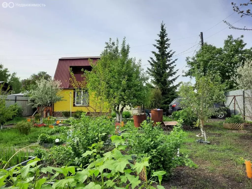 Дом в Челябинск, СНТ Янтарь (26.3 м) - Фото 0