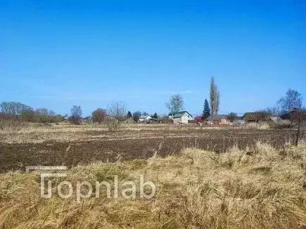 Участок в Калининградская область, Зеленоградский муниципальный округ, ... - Фото 2