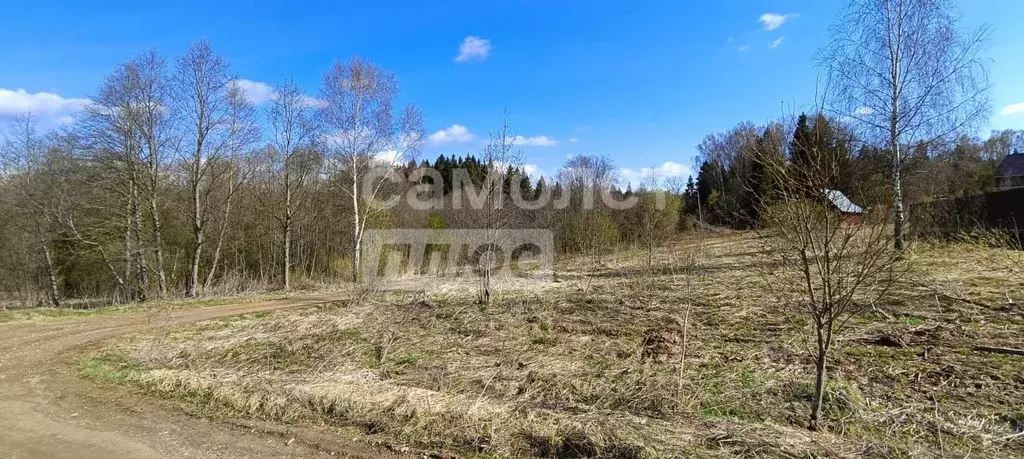 Участок в Московская область, Солнечногорск городской округ, д. ... - Фото 2