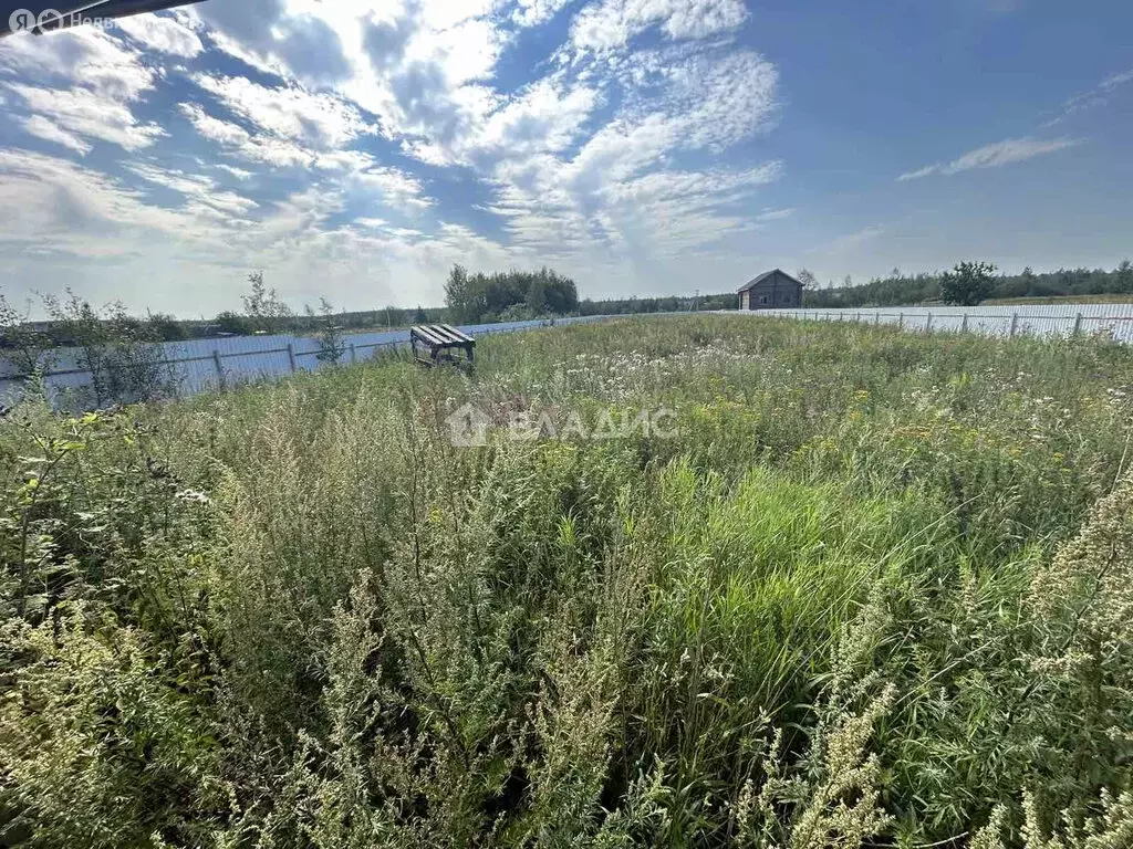 Участок в деревня Никулино, Центральная улица, 33 (18 м) - Фото 0