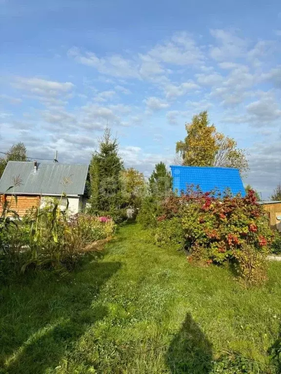 Дом в Пермский край, Добрянка Канал садовые участки, ул. Цветочная (25 ... - Фото 1