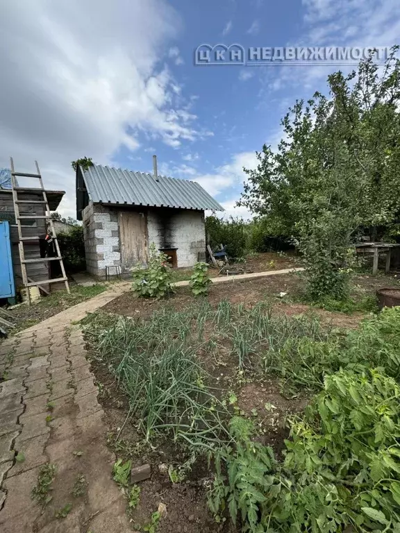 Участок в Оренбургская область, Оренбургский район, Степановский ... - Фото 1