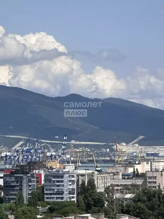 1-к кв. Краснодарский край, Новороссийск ул. Видова, 121Ак1 (38.3 м) - Фото 0