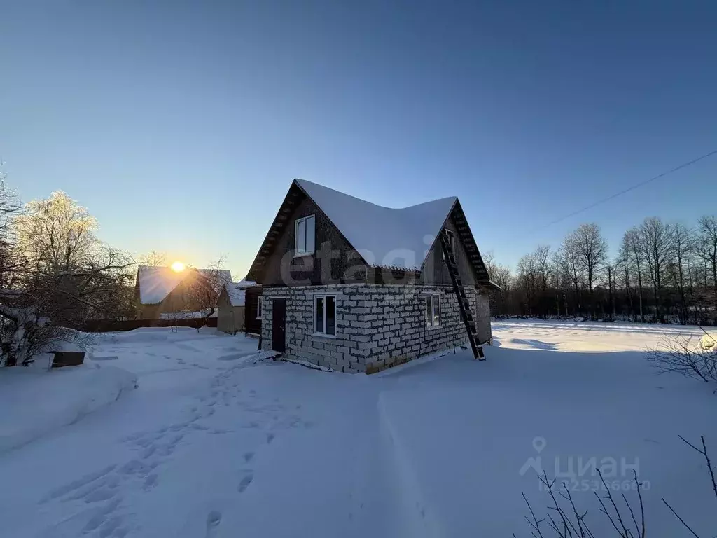 Дом в Смоленская область, Руднянский муниципальный округ, д. Березино ... - Фото 1