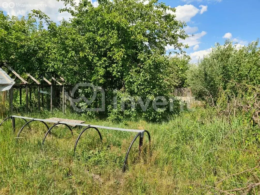 Участок в Калининград, СТ Дружба-Девау, улица Надежды (4.2 м) - Фото 1