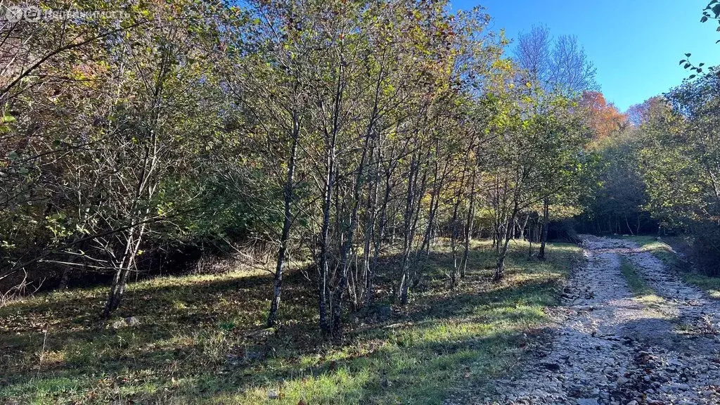 Дом в Краснодарский край, городской округ Сочи, село Черешня (75 м) - Фото 0