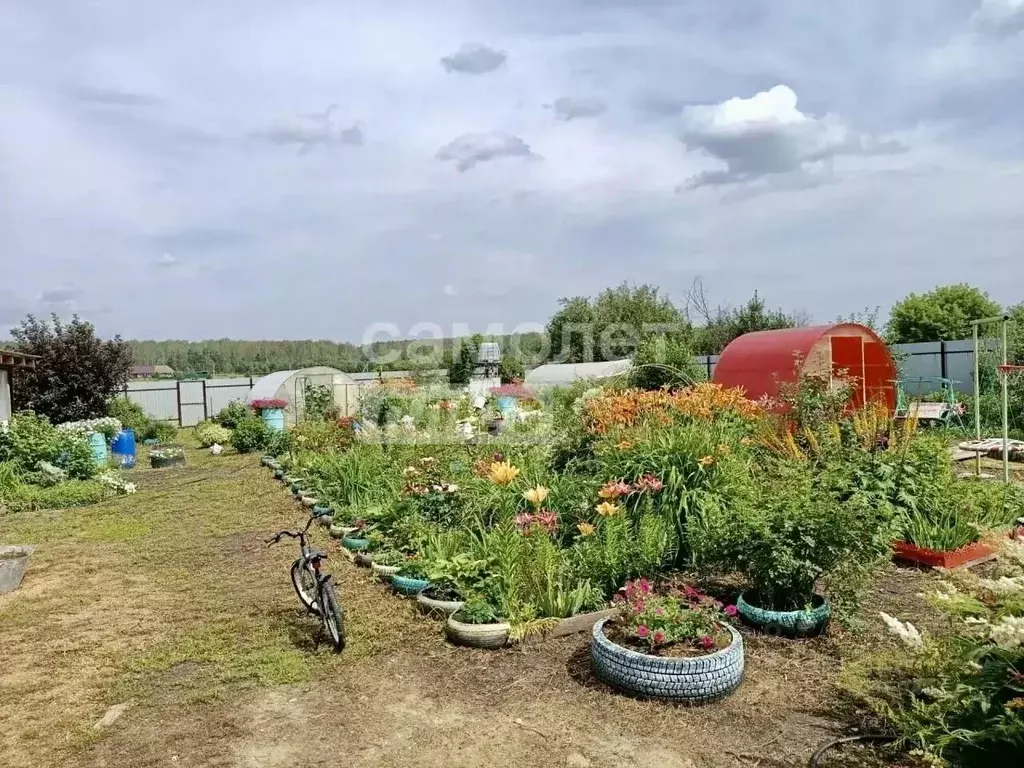 Участок в Челябинская область, Каслинский муниципальный округ, с. ... - Фото 2