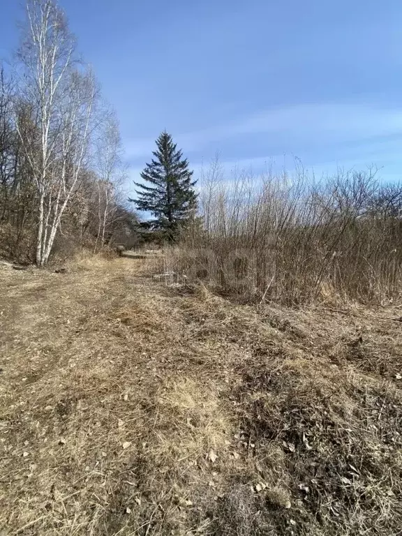 Участок в Амурская область, Благовещенск  (10.0 сот.) - Фото 1