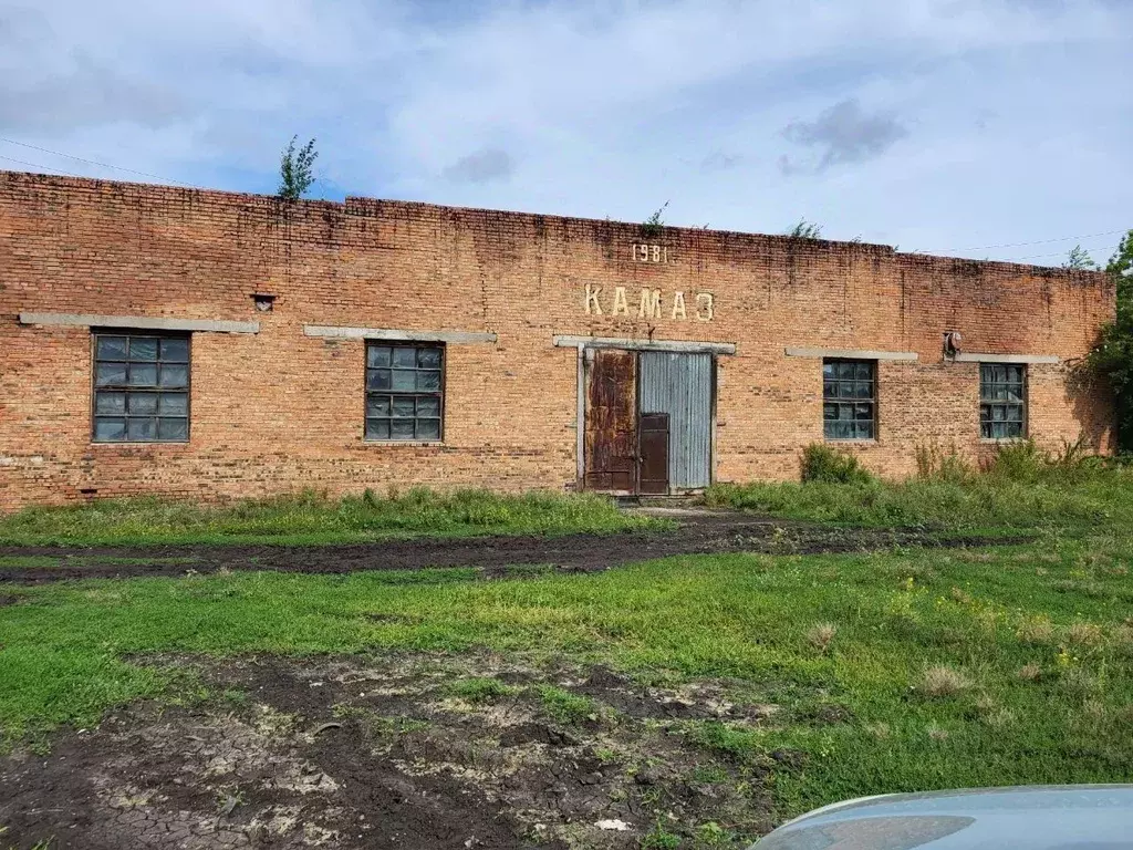 Производственное помещение в Новосибирская область, Кочковский район, ... - Фото 0