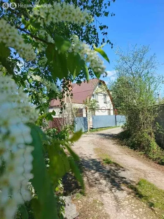 Дом в село Чардым, Дачная улица, 53 (298 м) - Фото 2