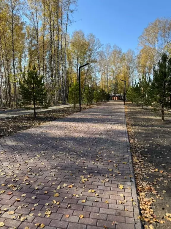 Коттедж в Новосибирская область, Искитимский район, с. Морозово ул. ... - Фото 1