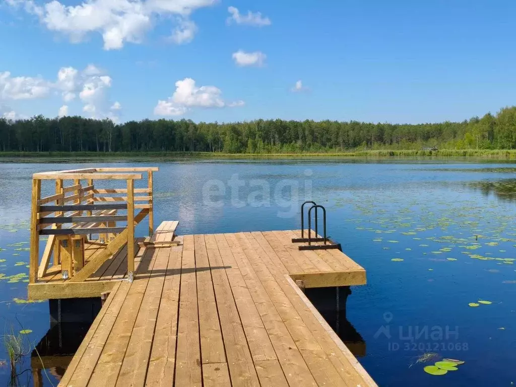 Участок в Вологодская область, Белозерский муниципальный округ, д. ... - Фото 1