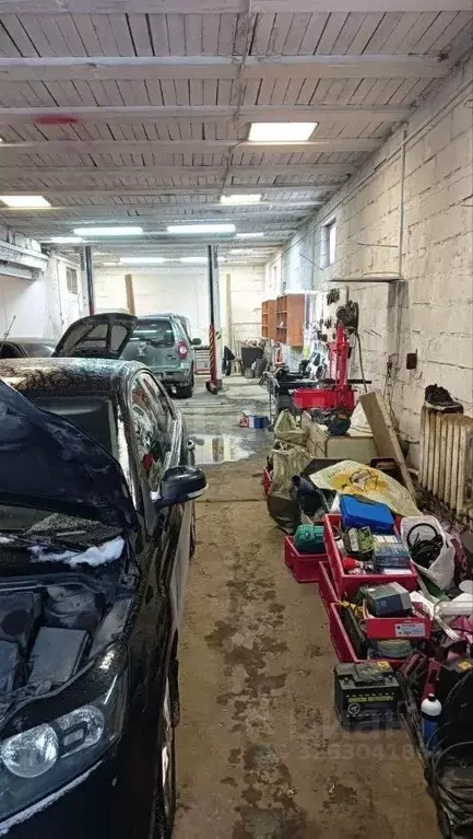 Помещение свободного назначения в Пермский край, Пермь ул. ... - Фото 2