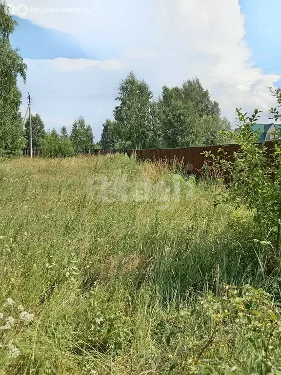 Участок в село Киреевск, Сибирская улица (15 м) - Фото 2
