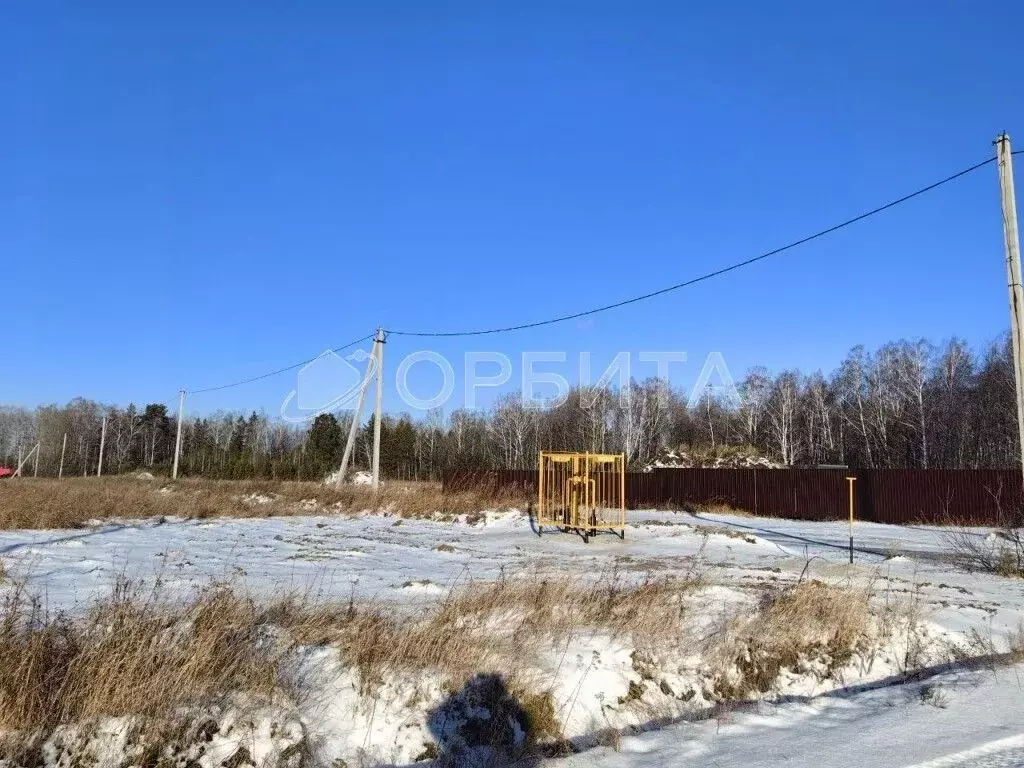 Участок в Тюменская область, Тюменский район, с. Каменка  (10.0 сот.) - Фото 0