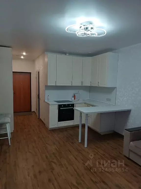 Студия Московская область, Домодедово городской округ, с. Домодедово ... - Фото 1