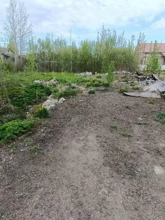 Участок в Новгородская область, Крестцы рп пер. Лесной, 2 (9.0 сот.) - Фото 2