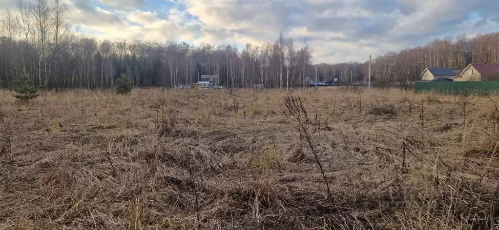 Участок в Московская область, Домодедово городской округ, с. Добрыниха ... - Фото 0