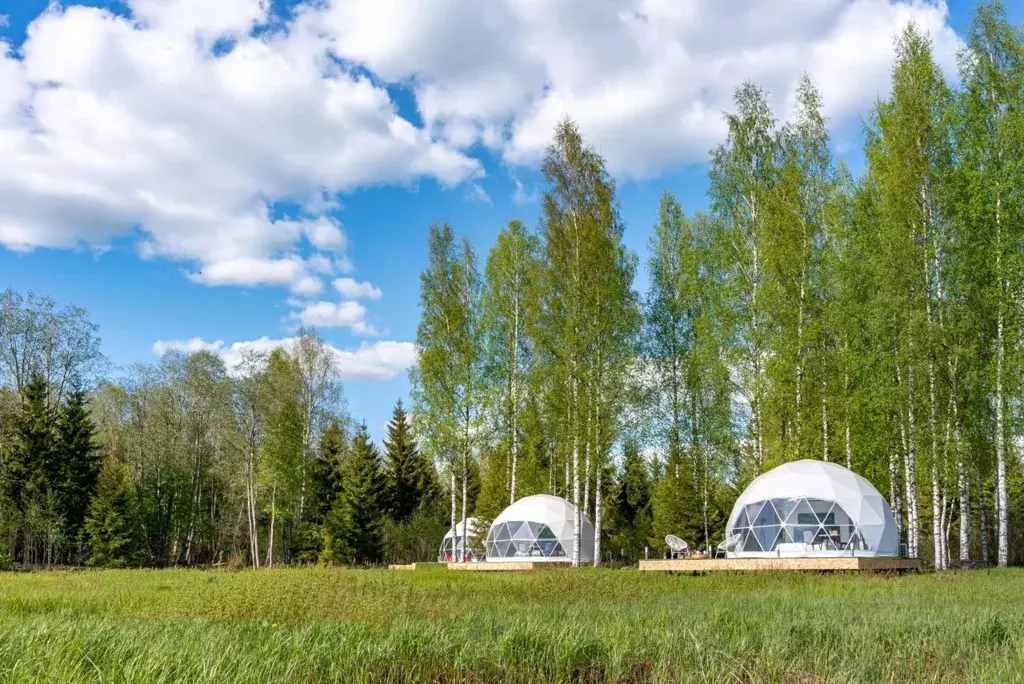 Дом в Новгородская область, Демянский муниципальный округ, д. ... - Фото 2