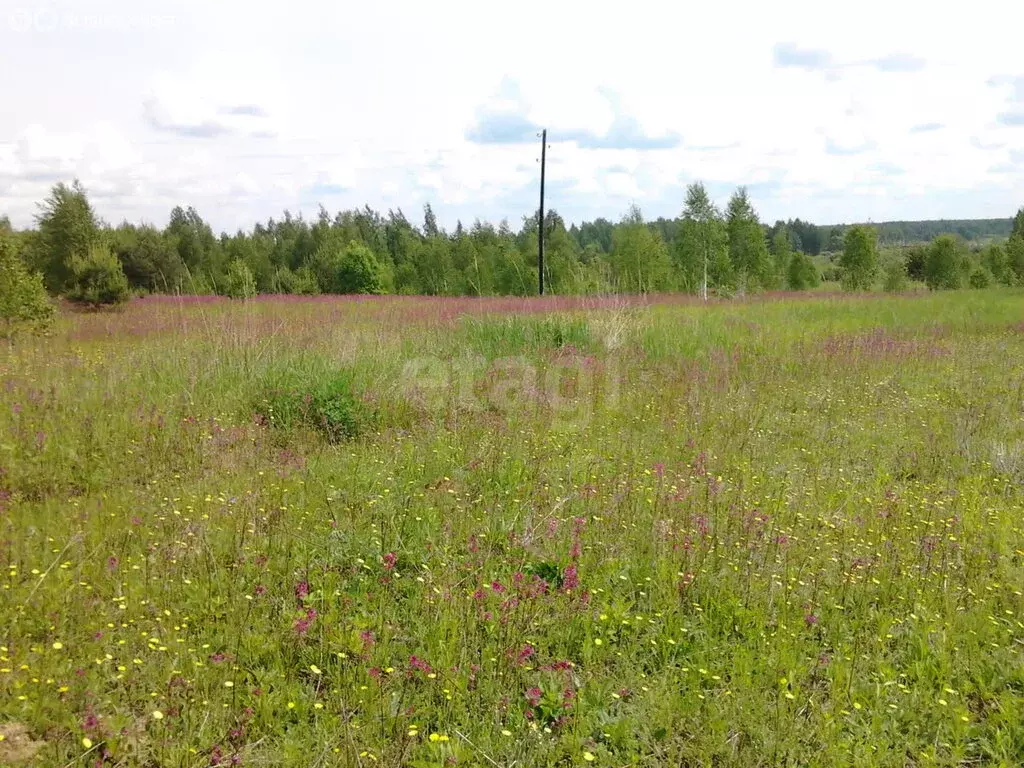 Участок в сельское поселение Павлиново, деревня Горки (1073 м) - Фото 0