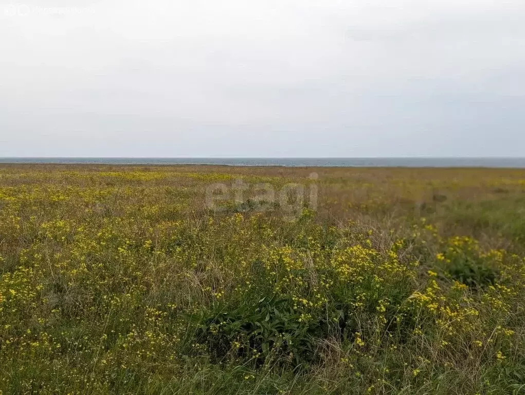 Участок в Окунёвское сельское поселение, село Знаменское (4 м) - Фото 1