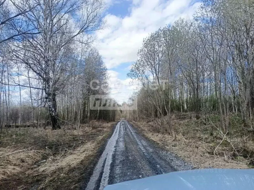 Участок в Томская область, Томск пос. Родионово, ул. Маршала Жукова, ... - Фото 1