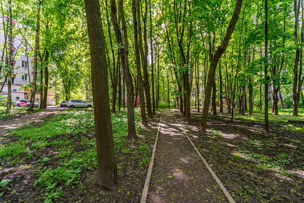 1-комнатная квартира: Санкт-Петербург, проспект Тореза, 38к1 (31 м) - Фото 0