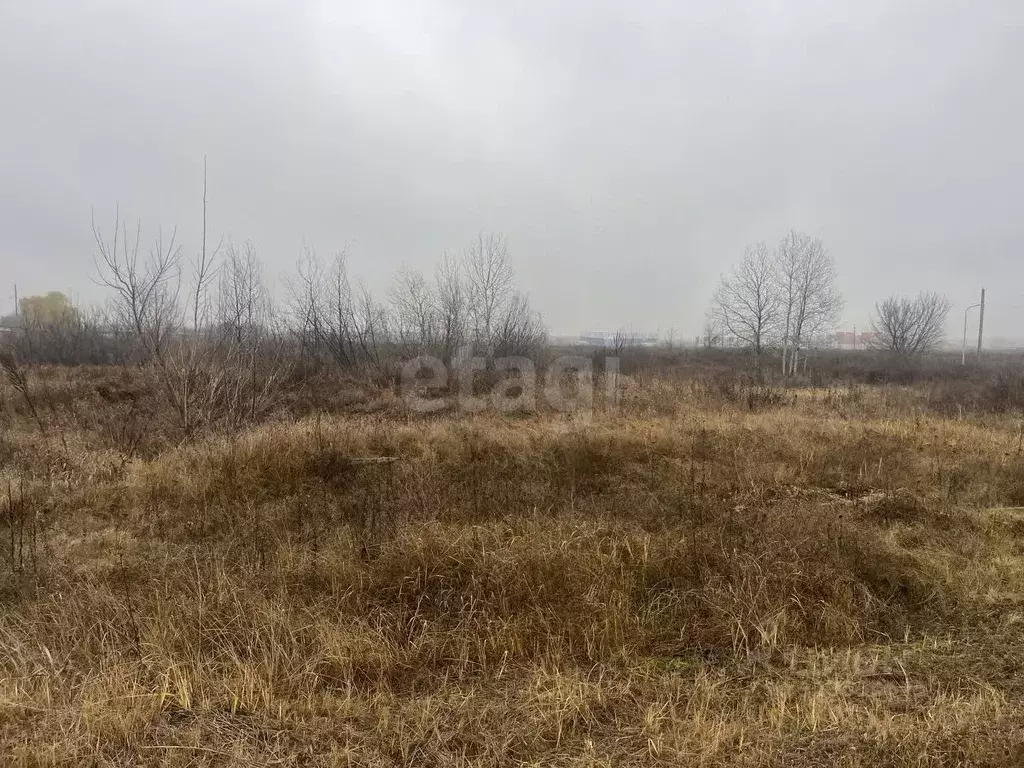 Участок в Воронежская область, Борисоглебск Лазоревая ул. (9.0 сот.) - Фото 1