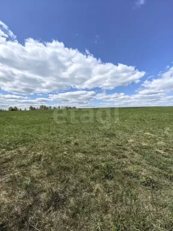Участок в Калужская область, Жиздра Коммунистическая ул. (13.3 сот.) - Фото 2