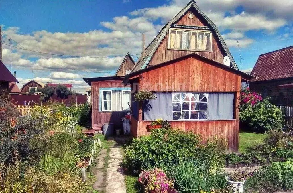 Дом в Новосибирская область, Тогучинский район, с. Буготак  (55 м) - Фото 0